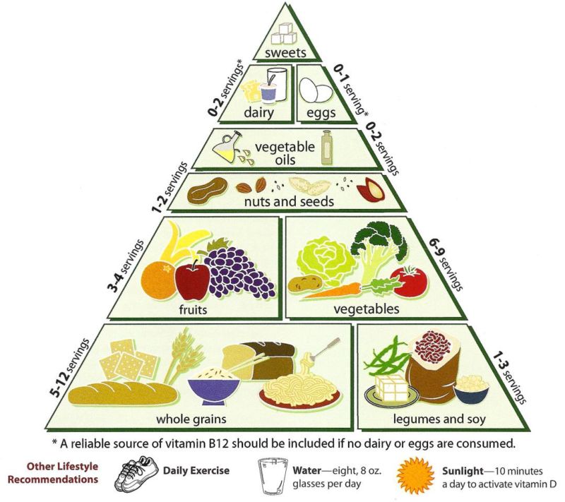 Kids Food Pyramid Energise Kids
